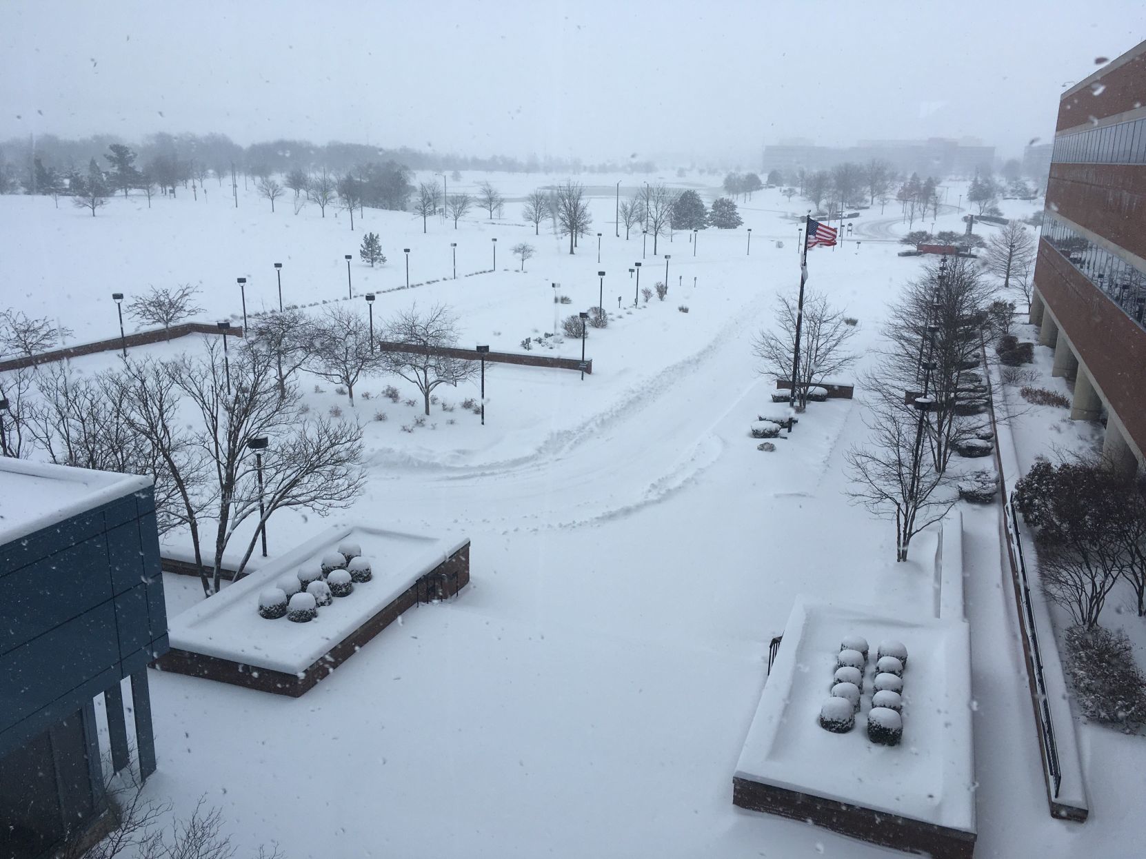 011319-blm-loc-8snow